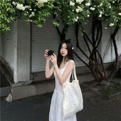 猫咪情缘