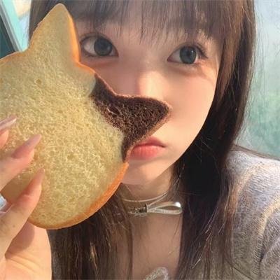 青蛙王国